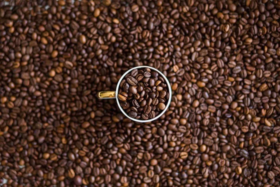 Roasted coffee beans filling the frame